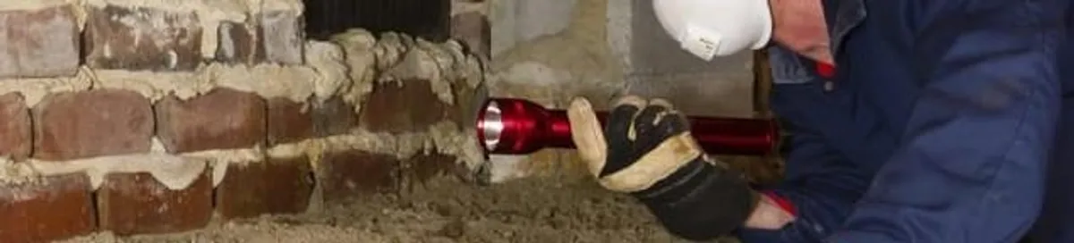 Pest control technician inspecting a crawl space for ant activity and entry points in Minneapolis, MN