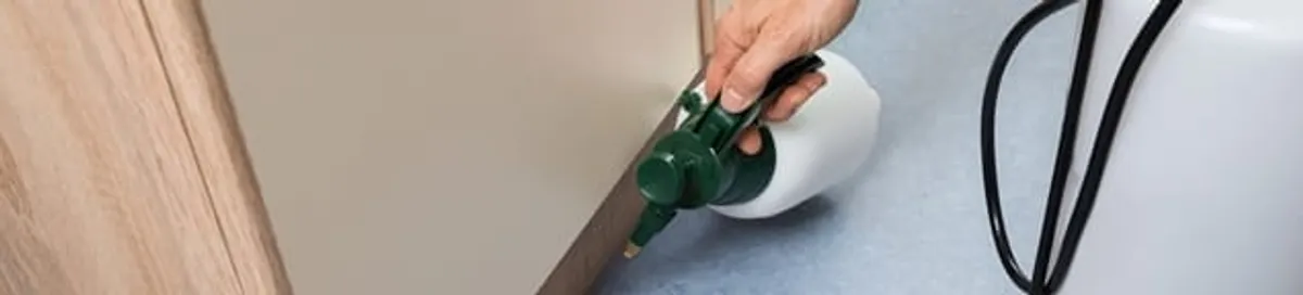 Bed bug exterminator treating baseboards and cracks with targeted spray in Minneapolis, MN