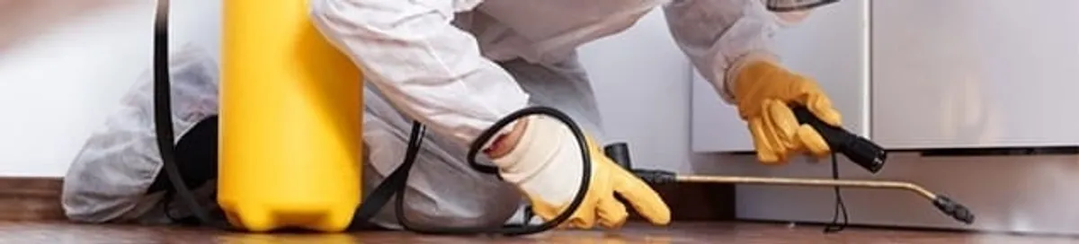 Roach exterminator treating cracks and crevices along kitchen baseboards in Minneapolis, MN