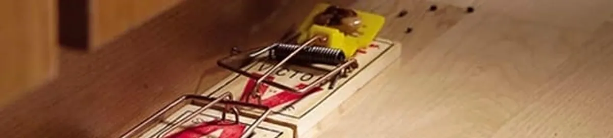 Rodent trap set indoors for rodent control and prevention in Minneapolis, MN