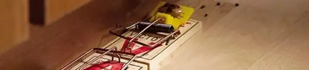 Rodent trap set indoors for rodent control and prevention in Minneapolis, MN